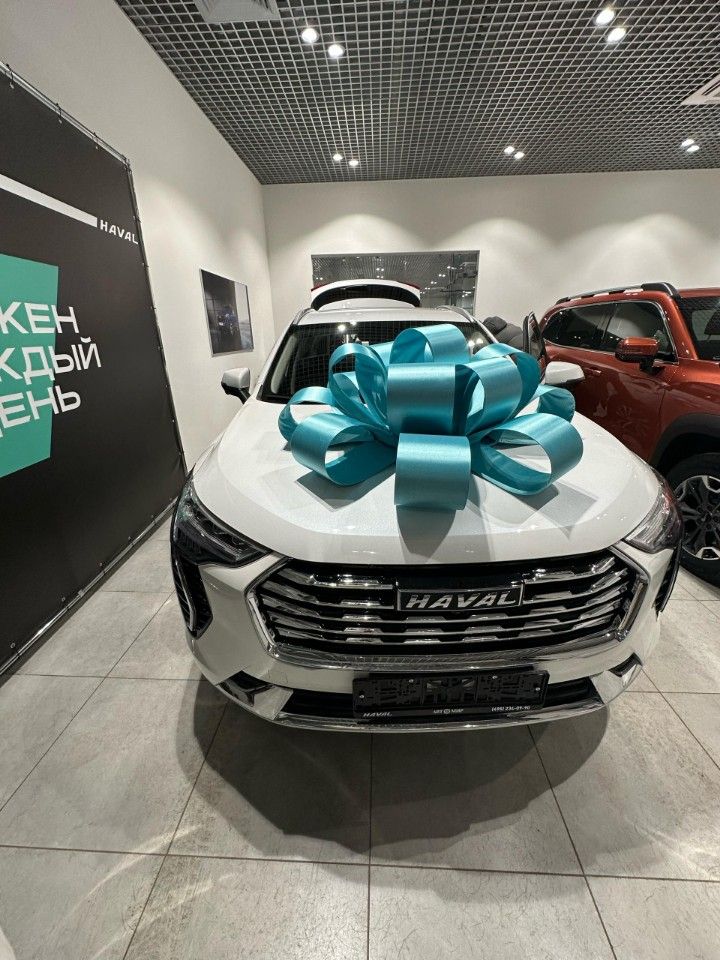 HAVAL Jolion: фото владельца