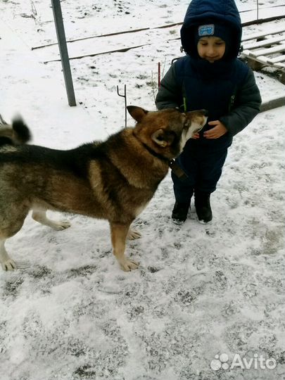 Кабель зсл вязка