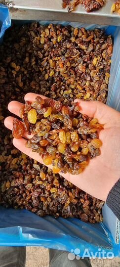 Сухофрукты оптом под заказ