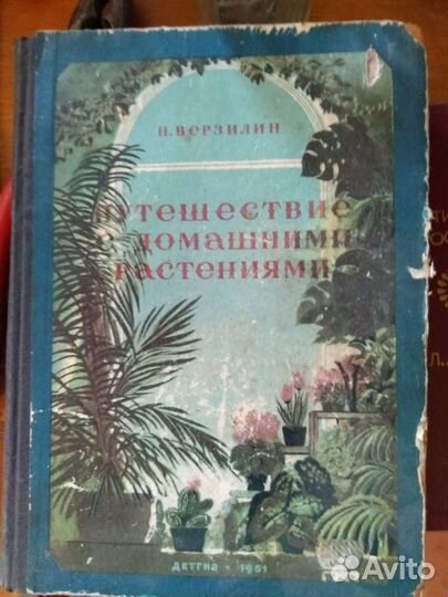 Путешествие с домашними растениями