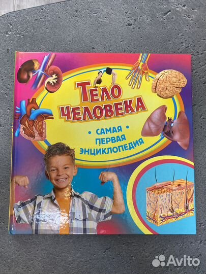 Тело человека