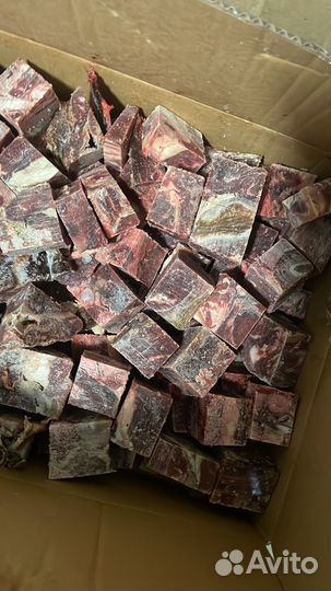 Корм для собак и кошек