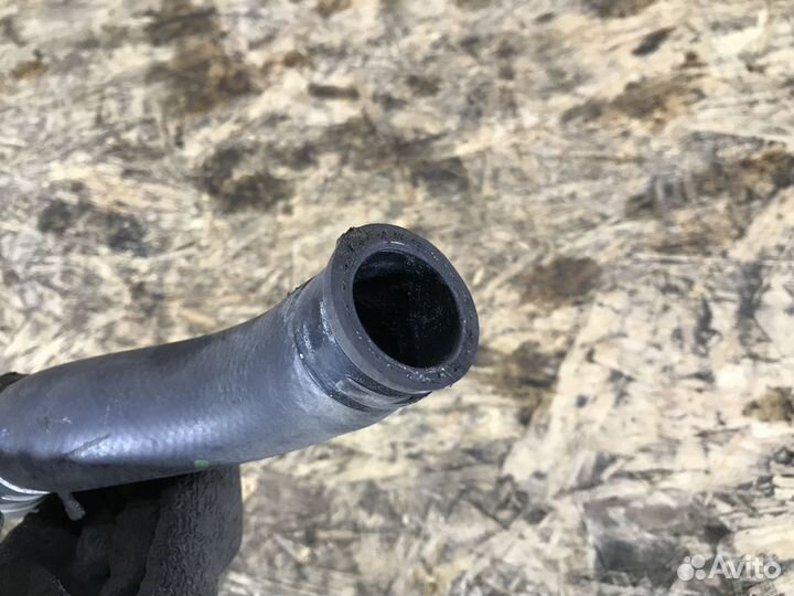 Патрубок радиатора honda insight ZE2 U 2009 Верх