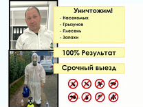 Уничтожение клопов и тараканов, все районы СПб