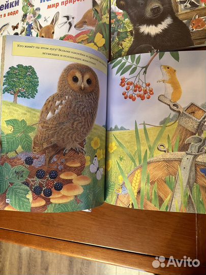 Чудо-наклейки Морис Пледжер