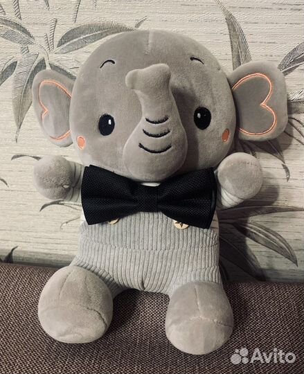 Бабочка на мальчика, новая