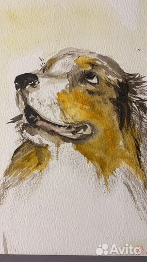 Акварель, миниатюра « Аусси»