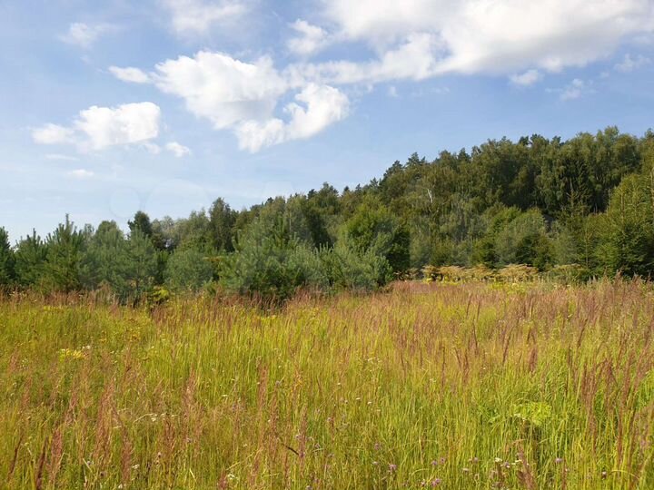 Участок 2,82 га (СНТ, ДНП)