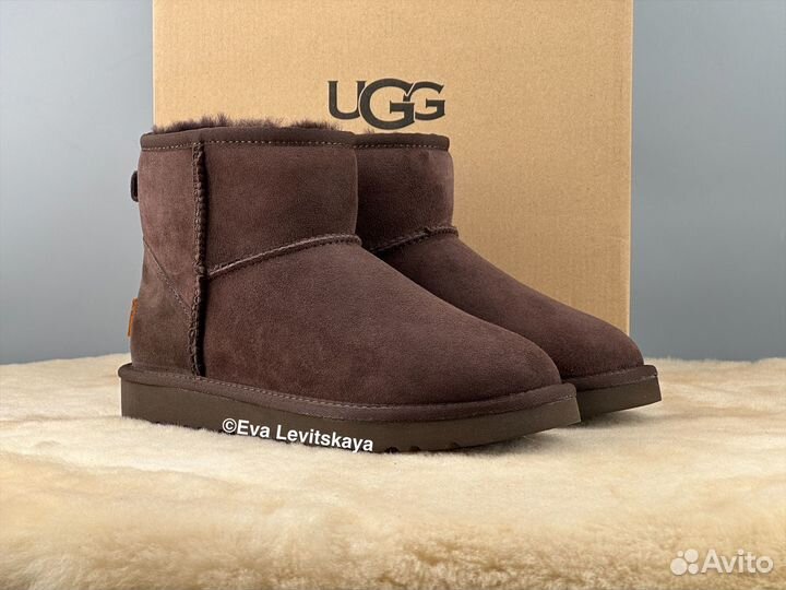 Угги женские Ugg Classic Mini II Chocolate