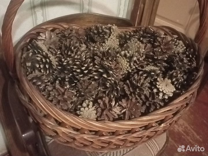 Шишки лесные сосновые для декора поделок