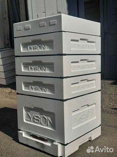 Улья Лысонь