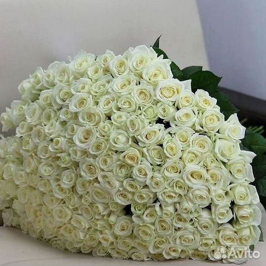 Розы высокие Доставка цветов