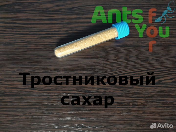 Корм, аксессуары и декор для формикария