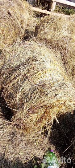 Сено в рулонах 2023