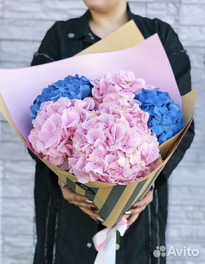 Гортензии цветы доставка