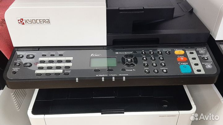 Мфу лазерное Kyocera ecosys M2040dn гарантия
