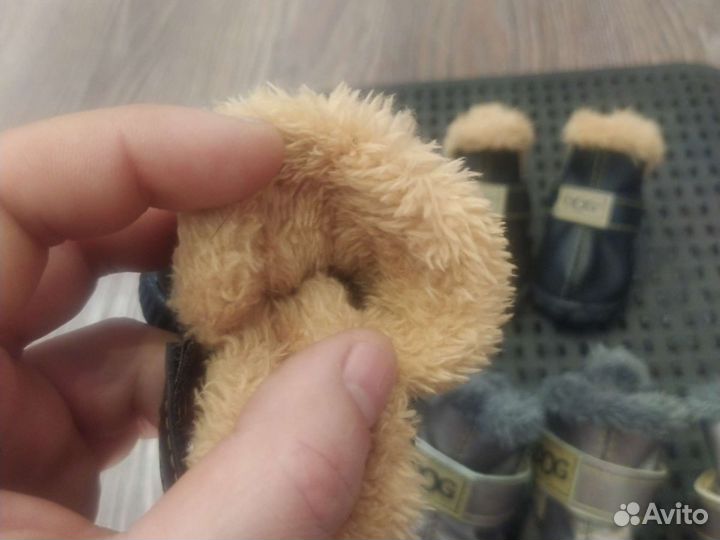 Ботинки для собак