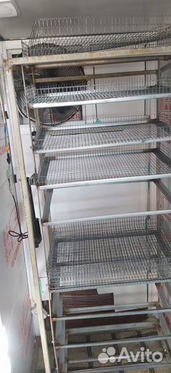 Инкубатор для яиц автоматический