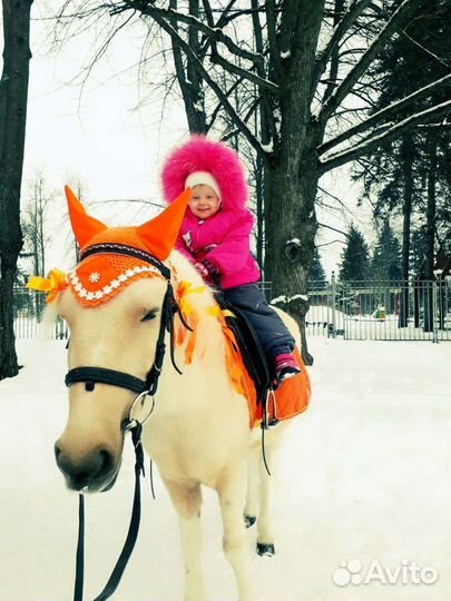 Пони на праздник