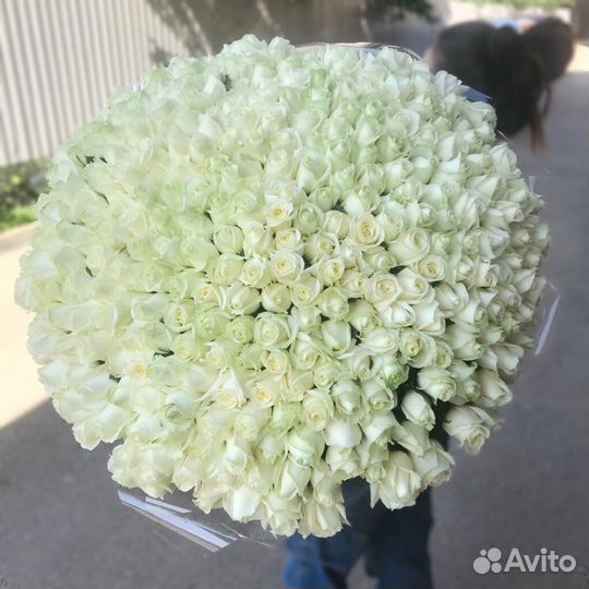 Букет из 301 розы с бесплатной доставкой