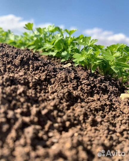 Навоз 10 мешков