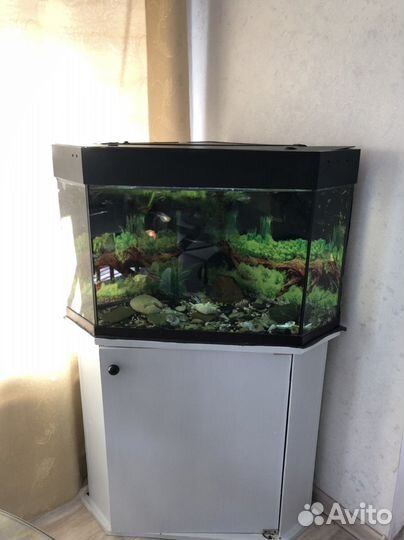 Аквариум