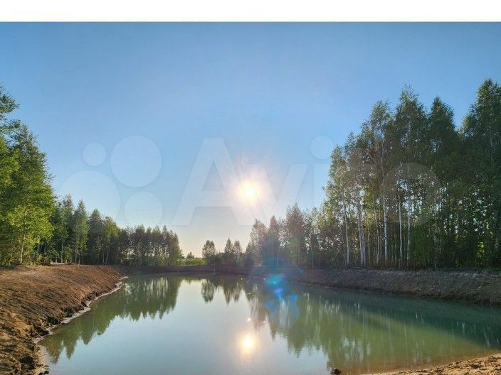 Участок 62,5 сот. (СНТ, ДНП)