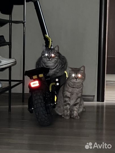 Электросамокат wolong g1 pro (полный привод)