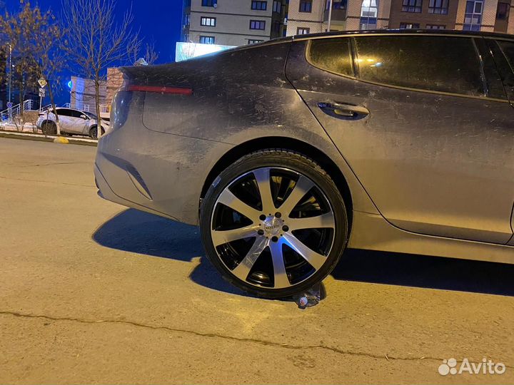 Диски Venerdi 19