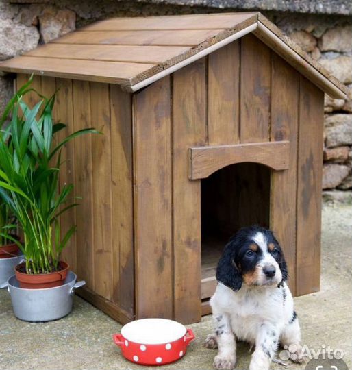 Будка для собаки