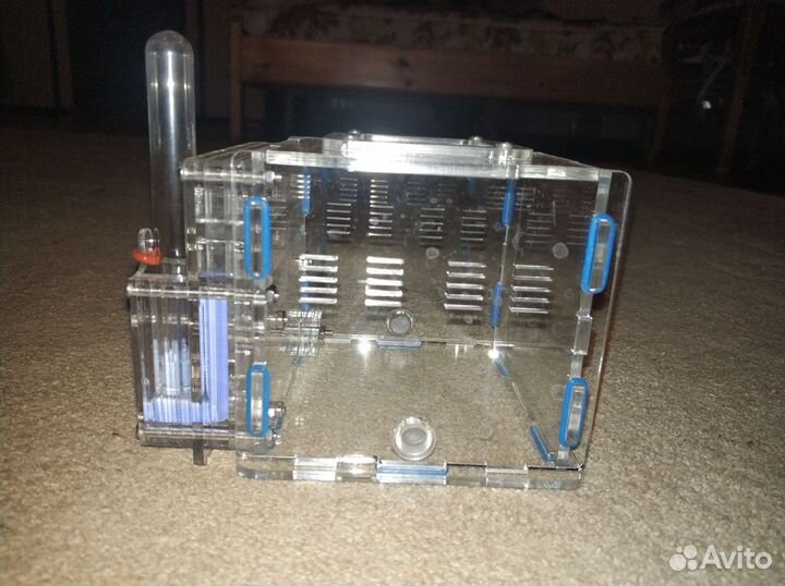 Муравьиная ферма без муравьев