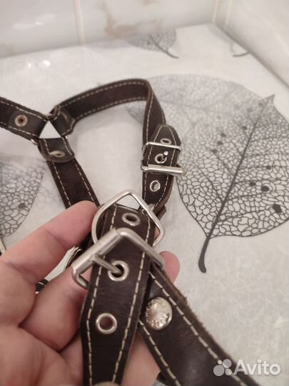 Шлейка для собаки большая