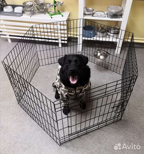 Вольер 6 секций с дверью