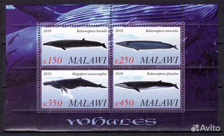 Животный мир. Блоки Малави 2010 год MNH **