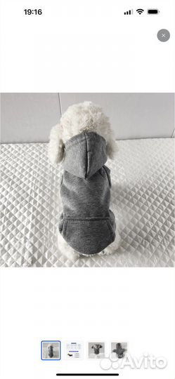 Одежда для собак