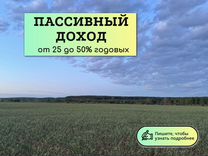 Привлекаю инвестиции в сельское хозяйство