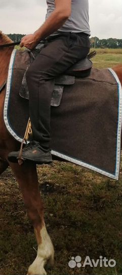 Седло скаковое