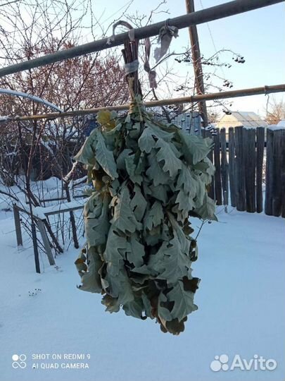 Веники для бани