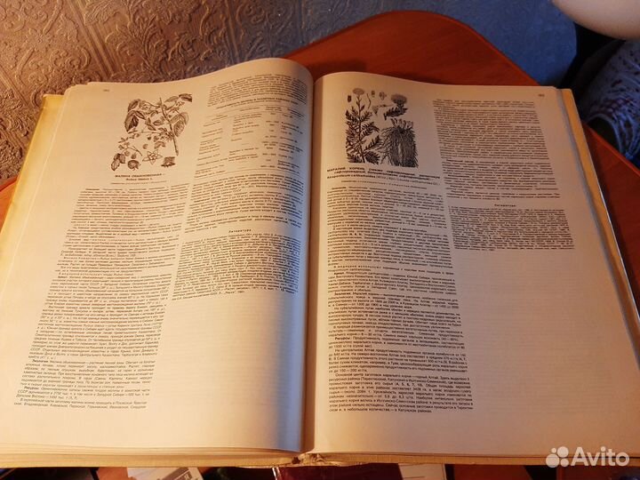 Атлас ареалов и ресурсов растений СССР