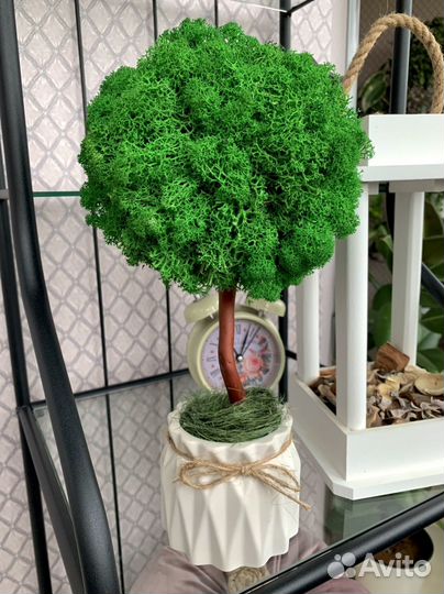 Дерево из стабилизированного мха