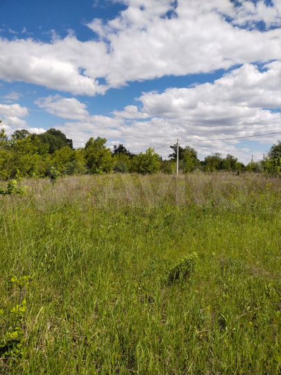 Участок 6 сот. (СНТ, ДНП)