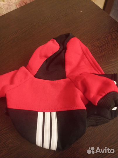 Одежда для маленьких собак