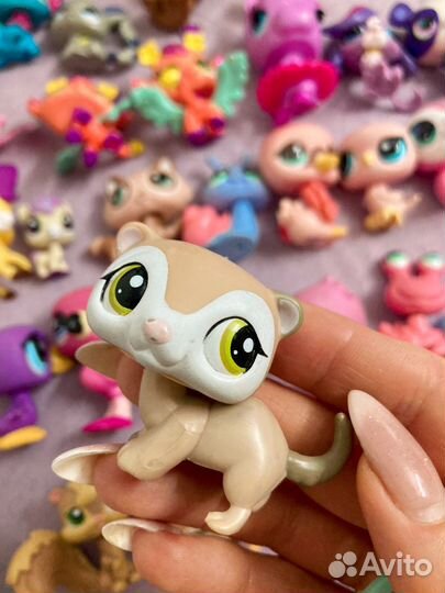 Lps хорек ласка куница гуси pet shop