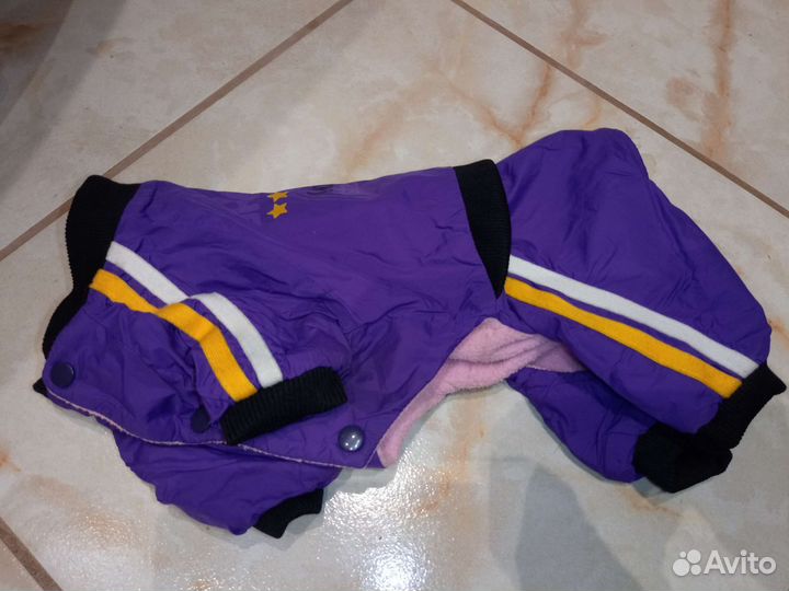 Одежда для маленьких собак