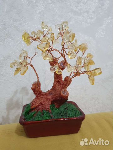 Сувенир дерево бонсай
