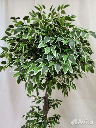 Фикус Премиум цветок дерево искусственное домой