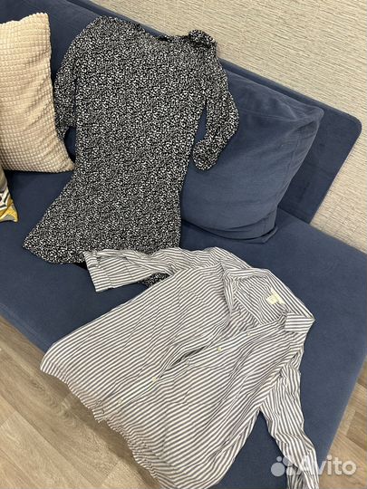 Отдам бесплатно