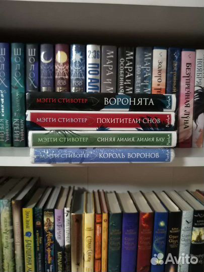 Мэгги стивотер Воронята