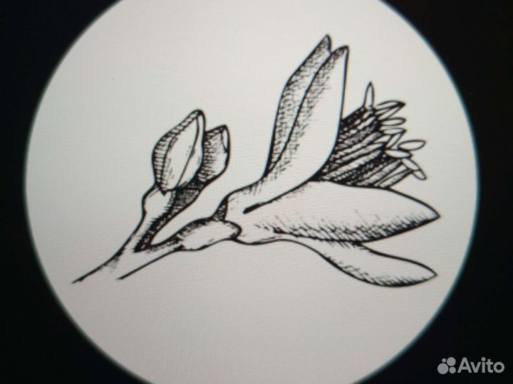 Кальянщик в ресторан