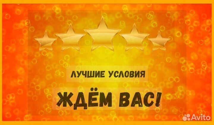 Комплектовщик Спецодежда Еженедельный аванс М/Ж